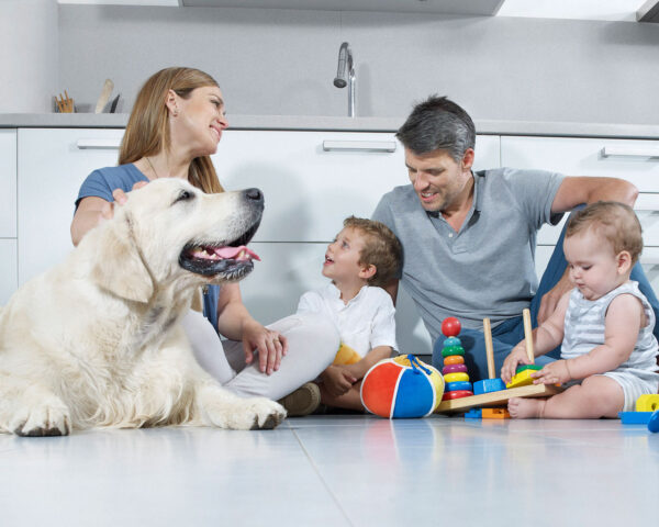 Quel produit utiliser pour laver le sol avec un chien