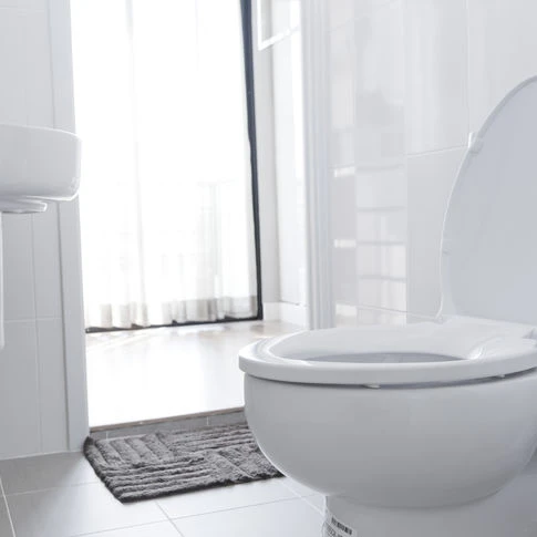 Comment nettoyer les toilettes, FAQ